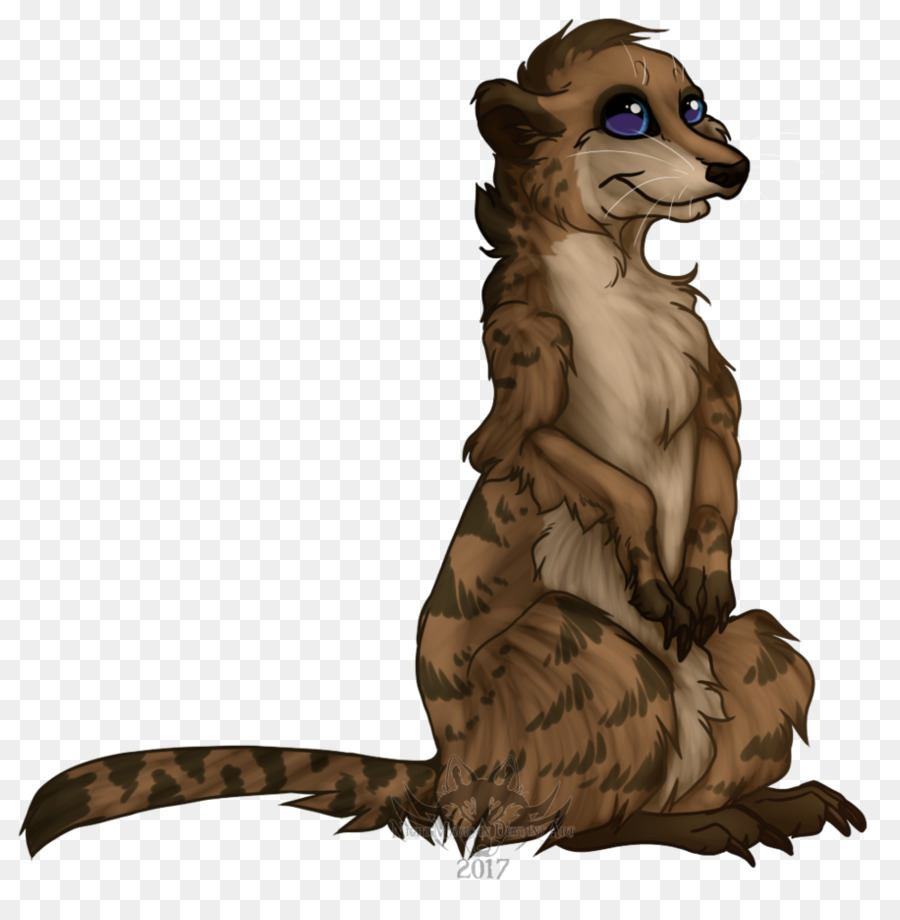 Mapache，Suricata PNG