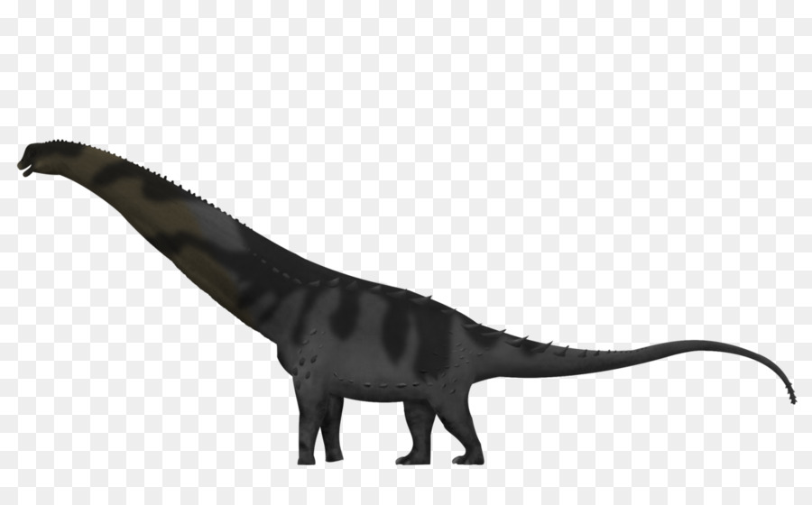 Alamosaurus，Tyrannosaurus PNG