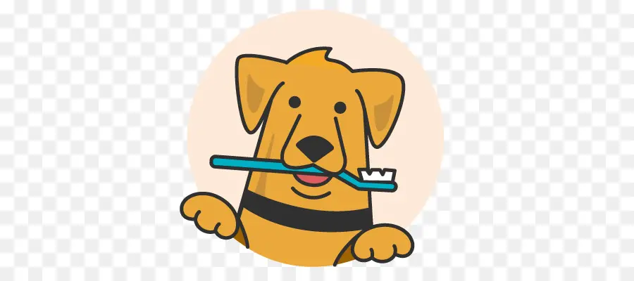 Perro Con Cepillo De Dientes，Perro Amarillo PNG