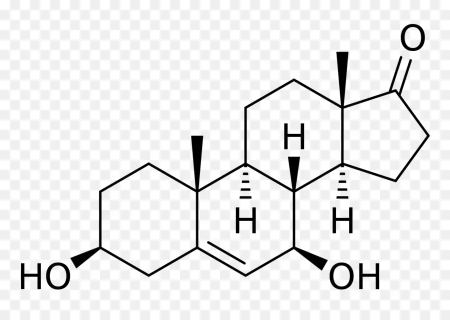 Medroxiprogesterona，Androstenedione PNG