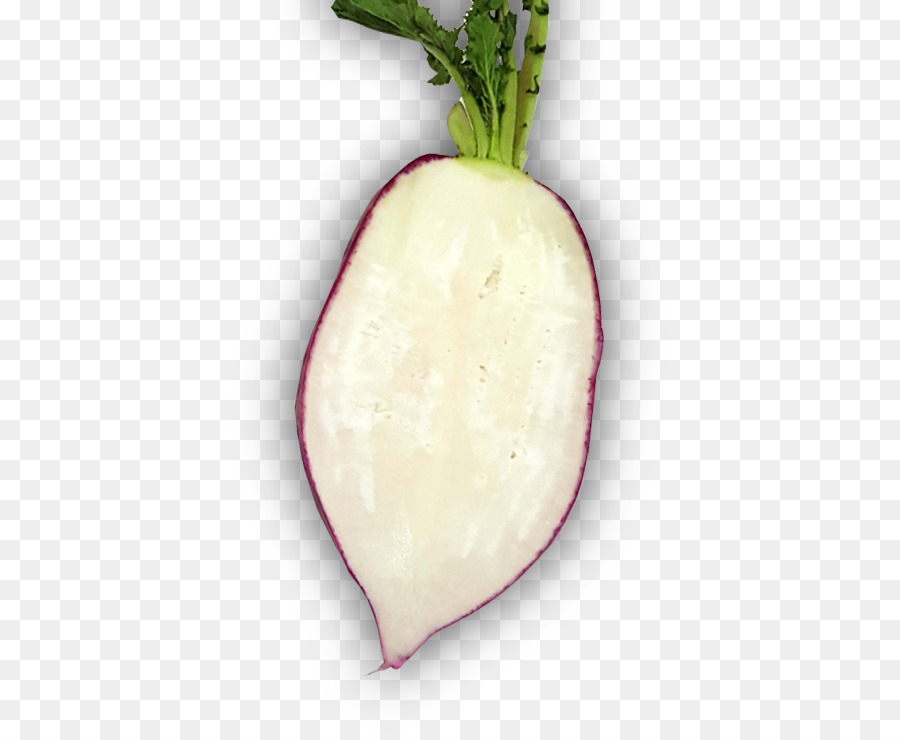 Rábano，Nabo PNG