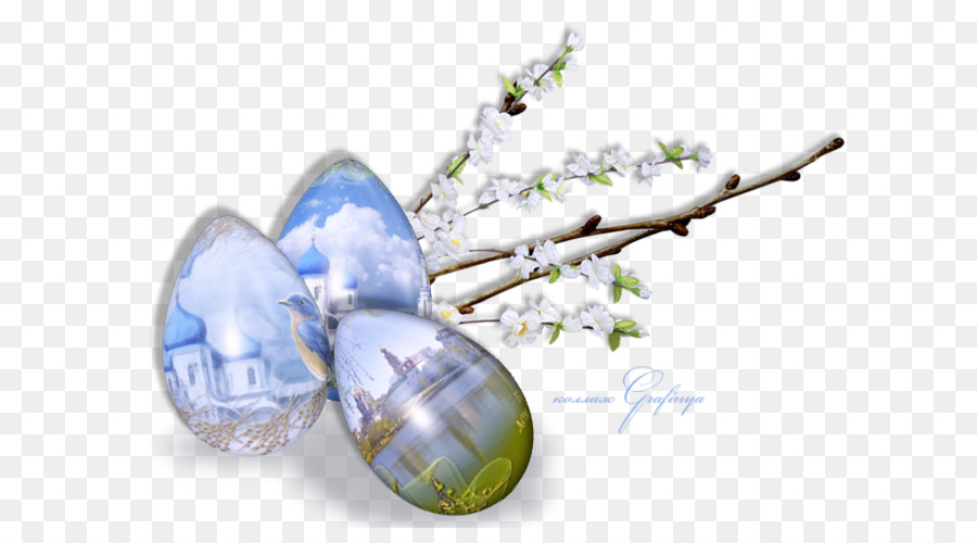 Pascua，Willow PNG