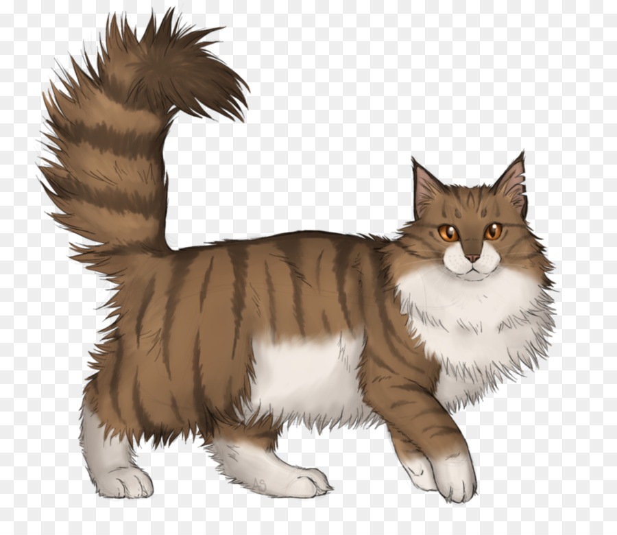 Gato De Manx，Gato Del Bosque Noruego PNG