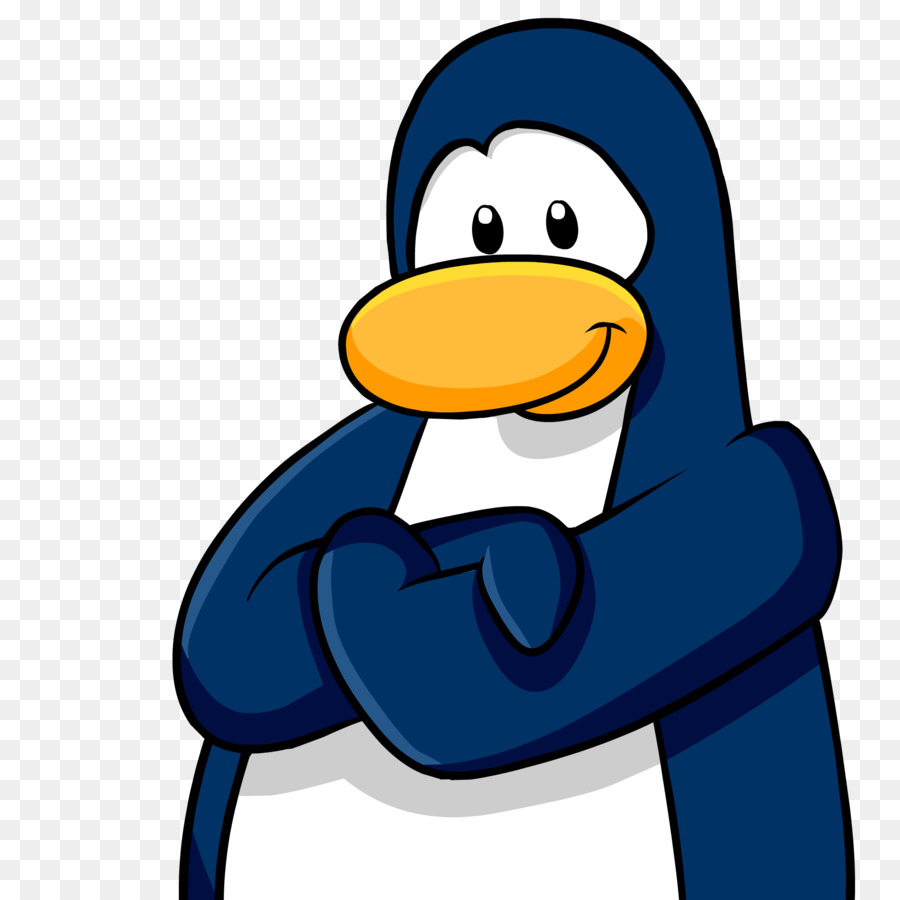 Pingüino，Pájaro PNG