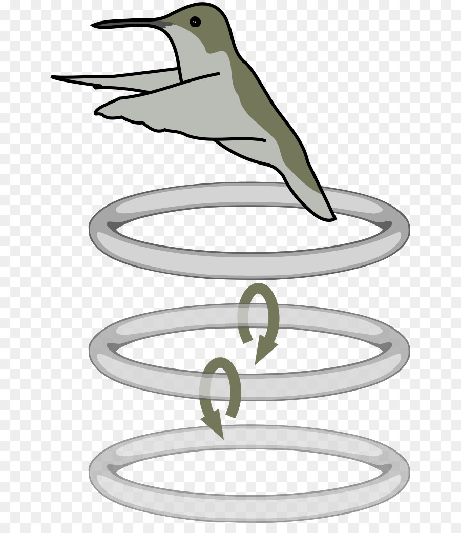 Pájaro，Schwirrflug PNG