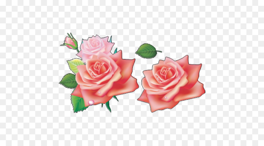 Rosa，Flor PNG