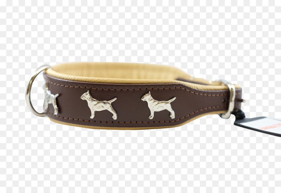 Bull Terrier，Collar PNG