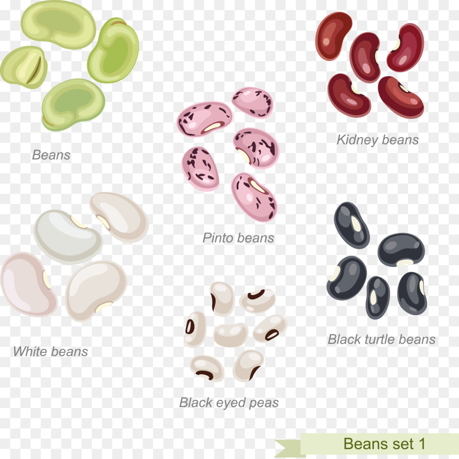 Frijoles De Cowboy，Bean PNG