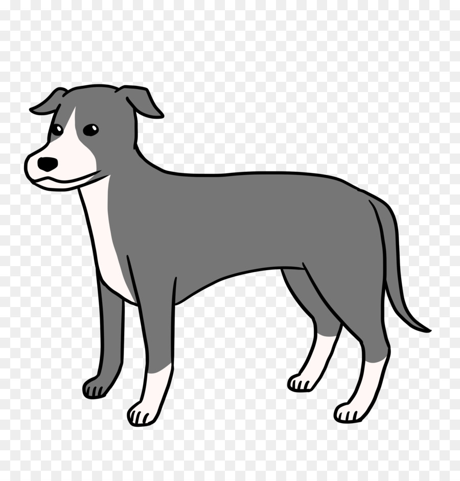 Raza De Perro，Lebrel Italiano PNG