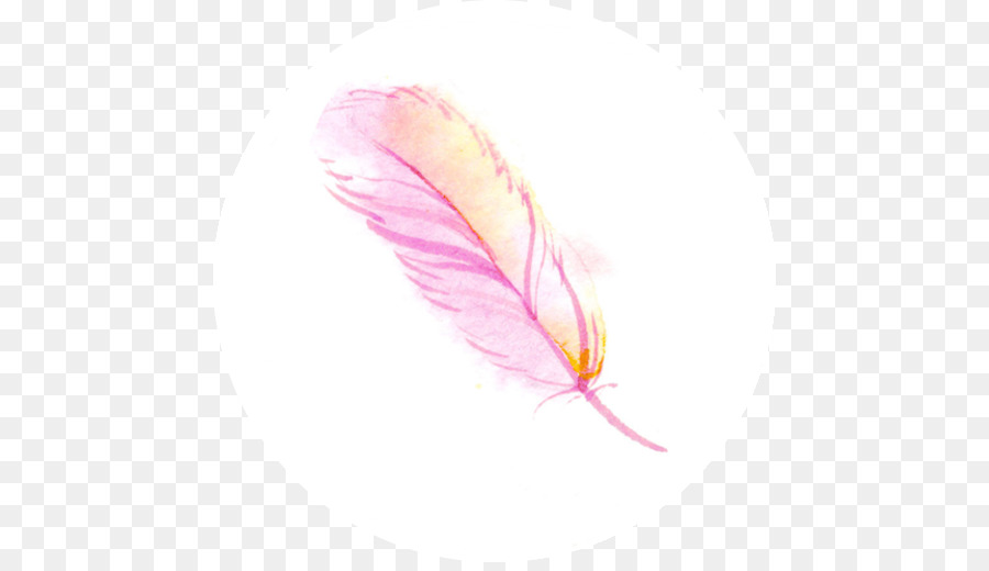 M Pink，Pluma PNG