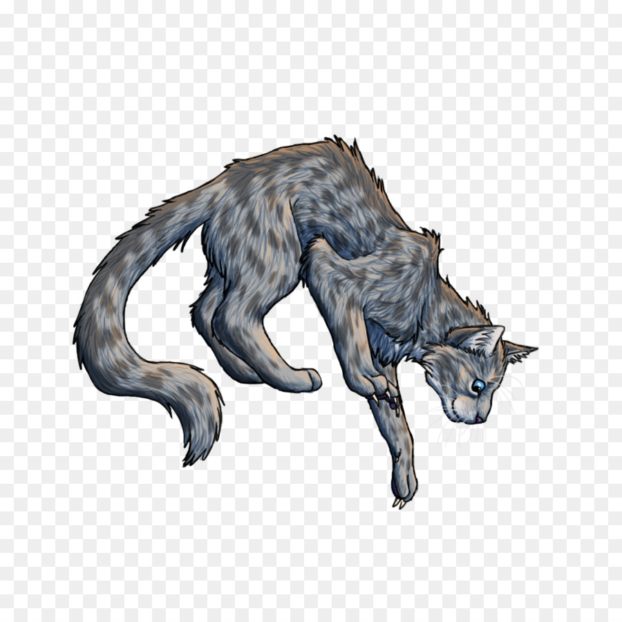 Gato，Felino PNG