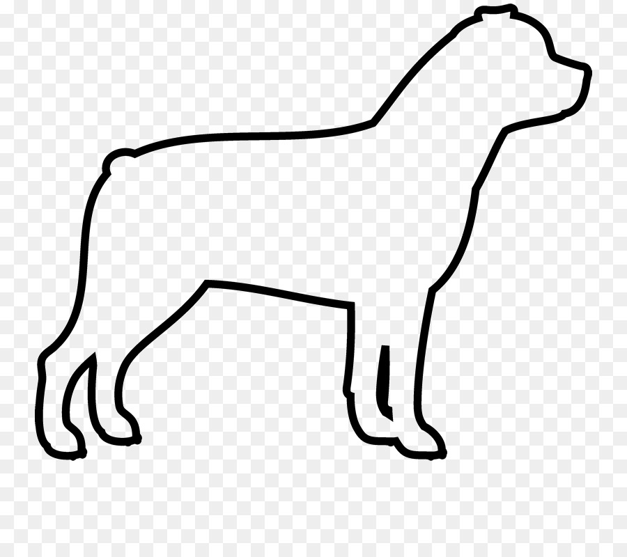 Raza De Perro，Cachorro PNG