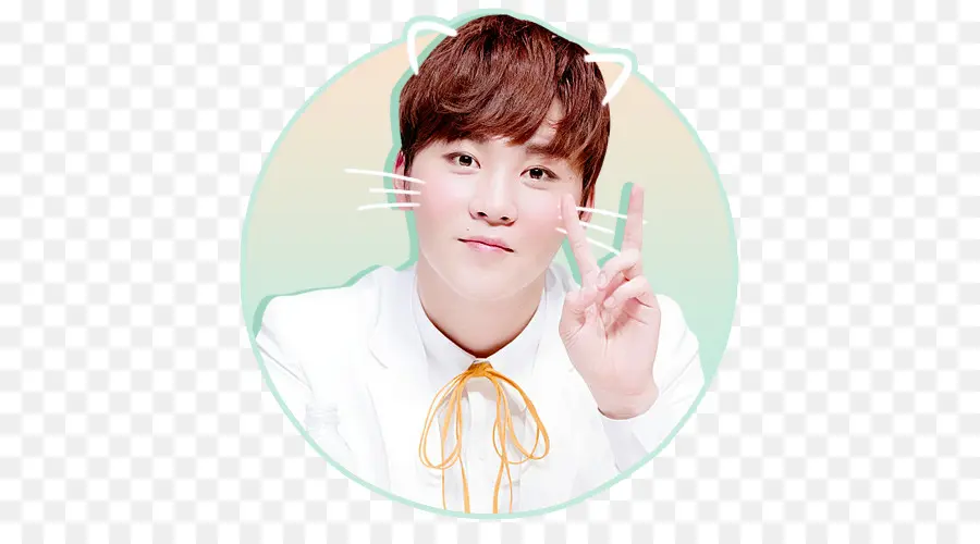 Boo Seungkwan，Diecisiete PNG