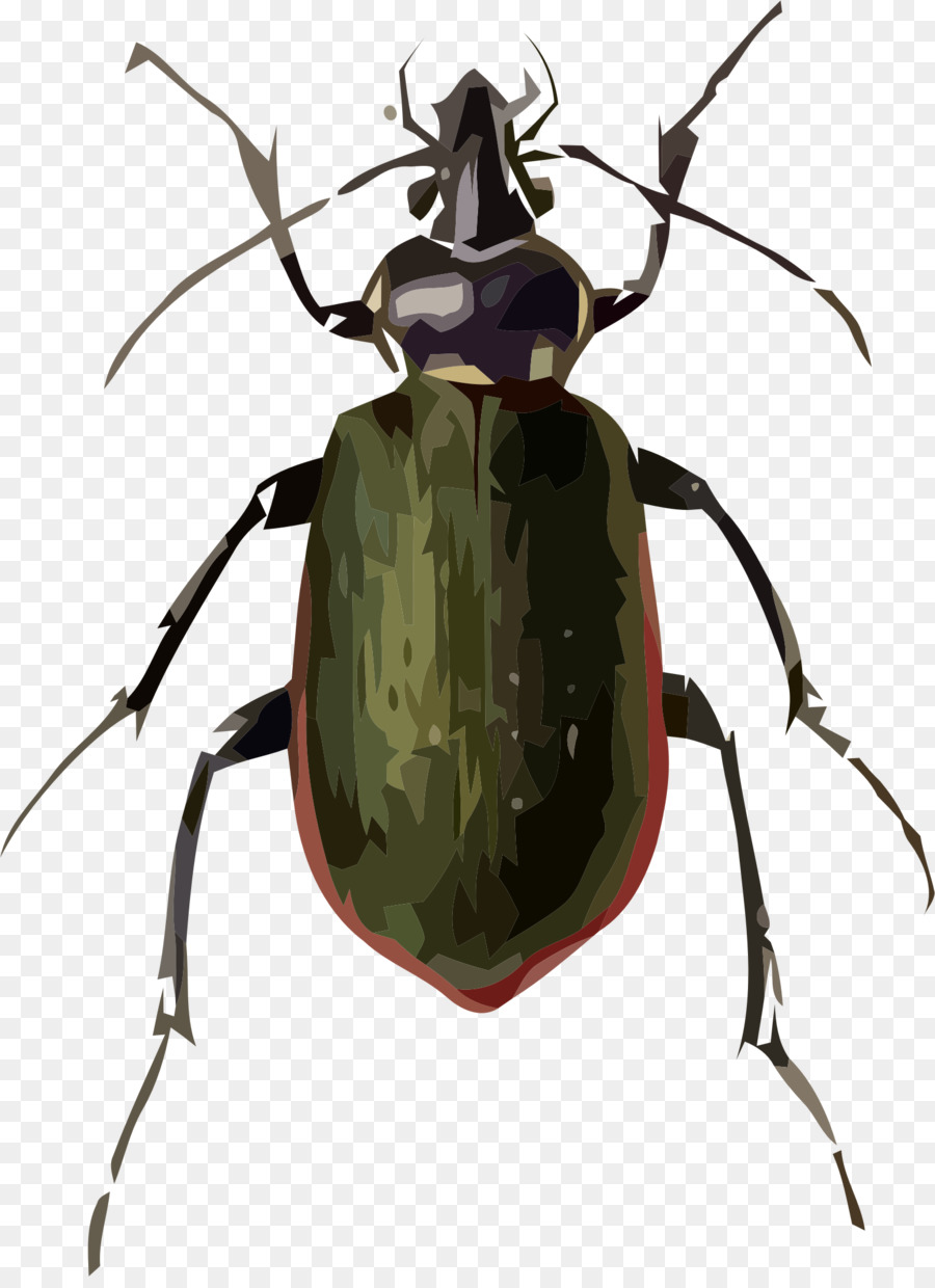 Escarabajo，Ardiente Buscador PNG