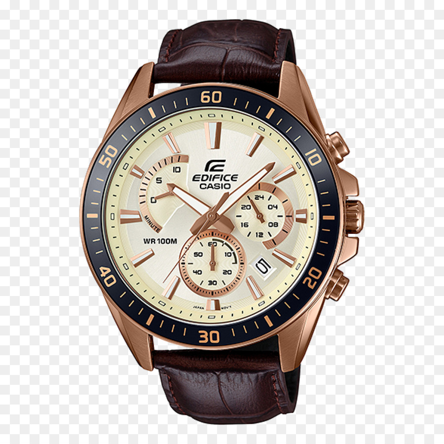 Casio，Edificio De Casio PNG