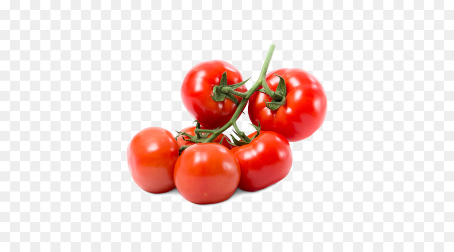 Tomate Ciruela，Bush Tomate PNG