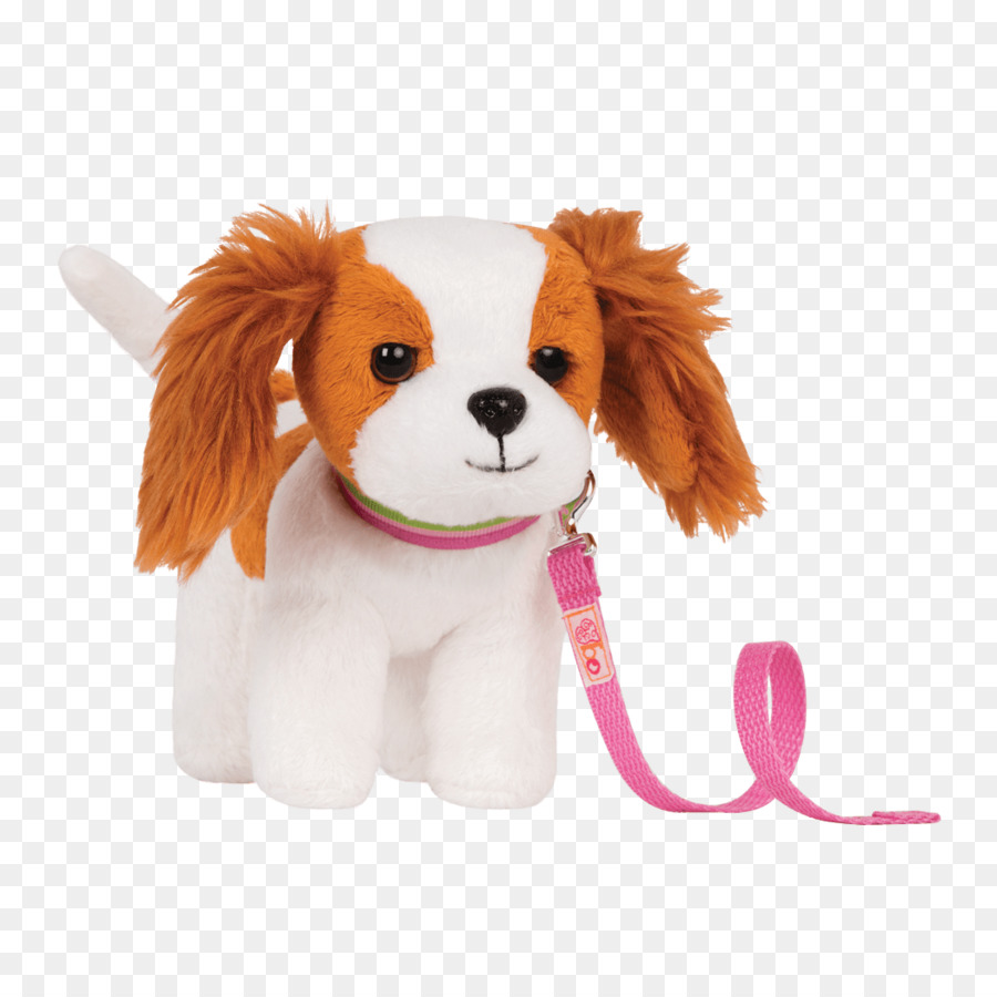 Rey Cavalier Charles Spaniel，Cachorro PNG