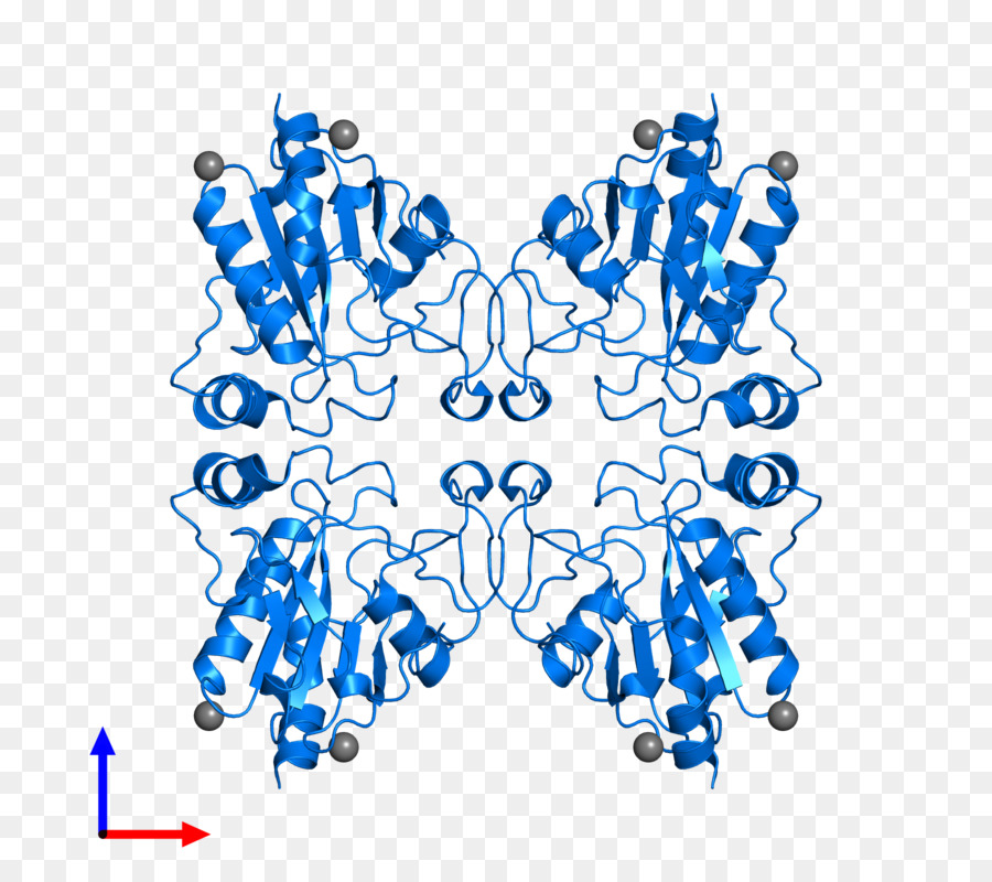 El Comportamiento Humano，Organismo PNG