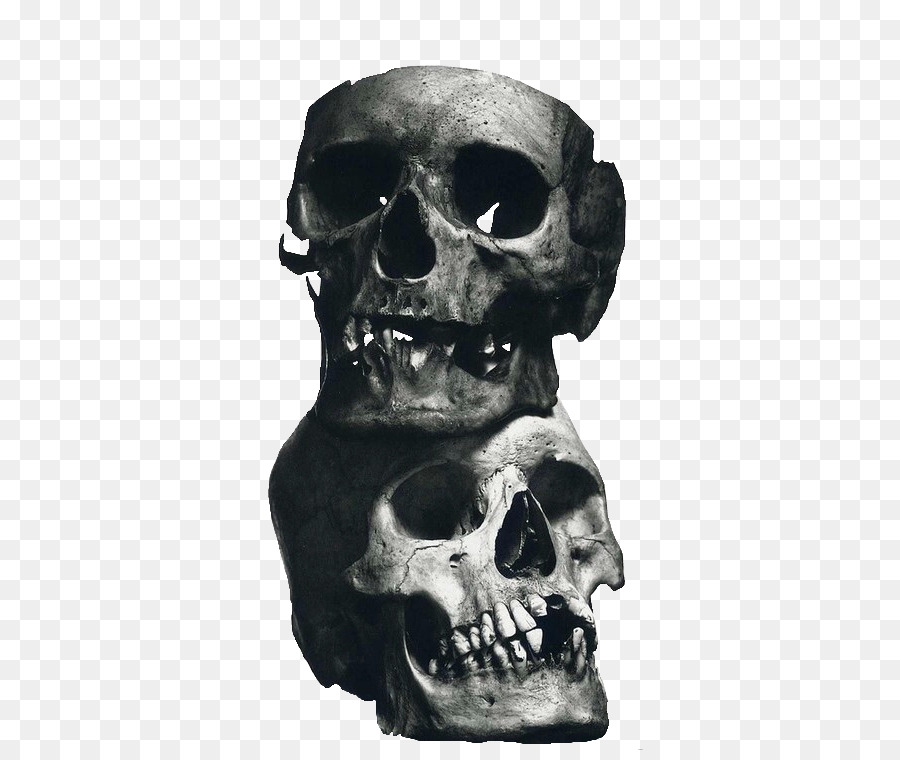 Naturaleza Muerta，Cráneo PNG