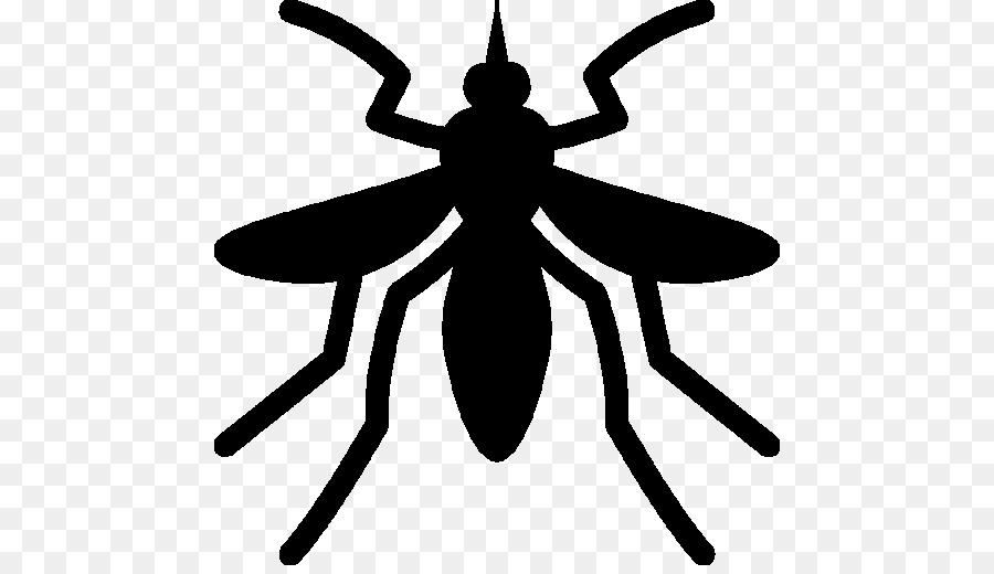 Mosquito，Bicho PNG