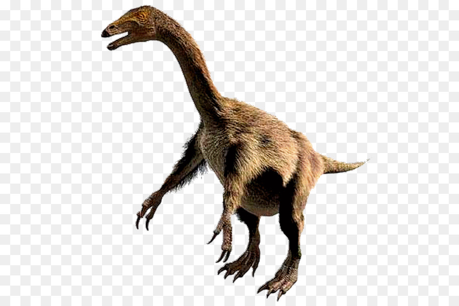 Allosaurus，Nothronychus PNG