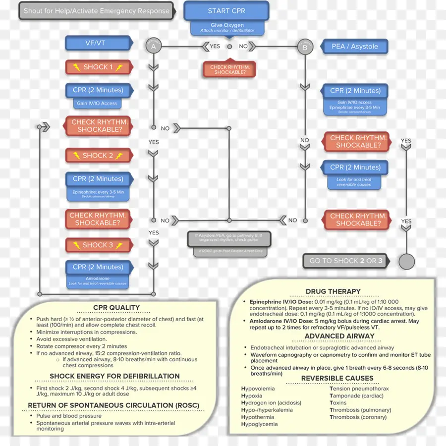 Diagrama De Flujo De Rcp，Guía PNG