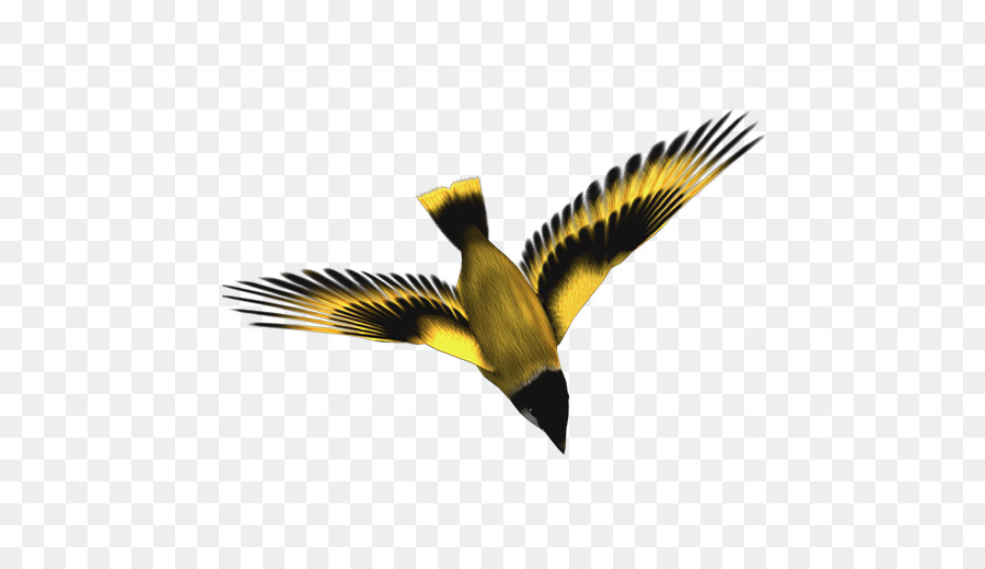 Aves，Iconos De Equipo PNG