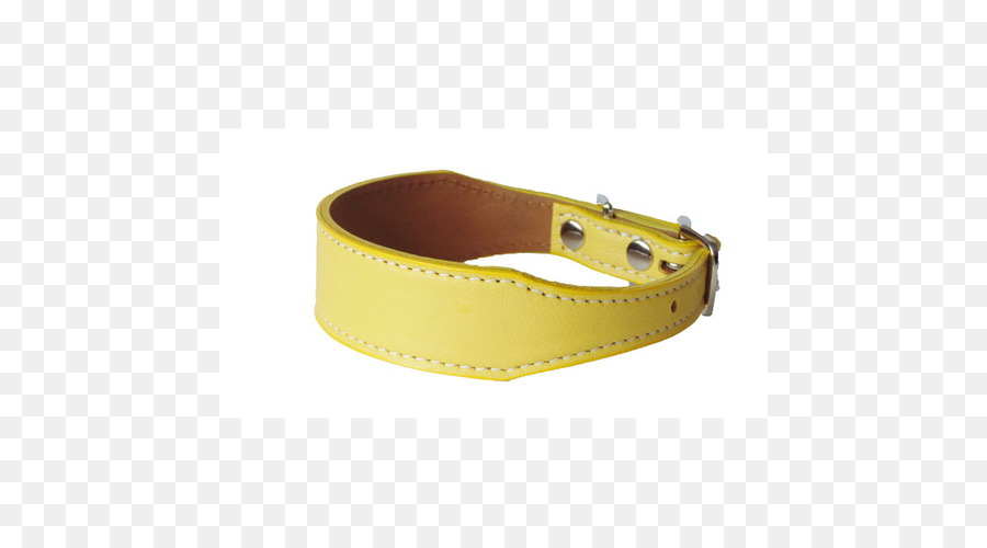 Cinturón Amarillo，Moda PNG