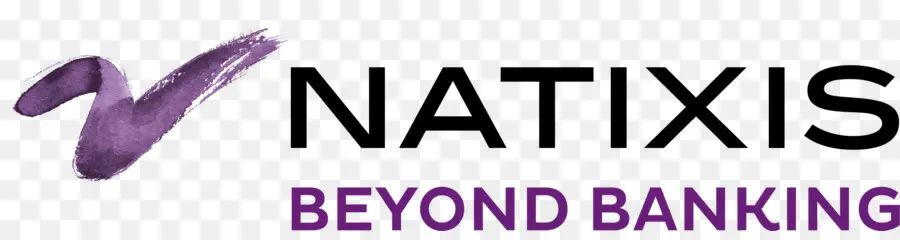 Natixis，Gestión De Activos PNG