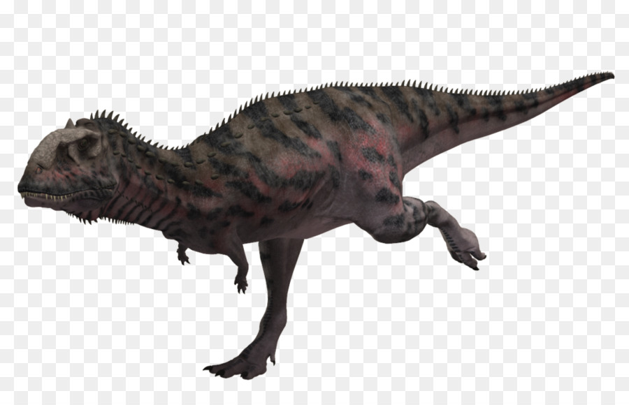 Tyrannosaurus，Utahraptor PNG