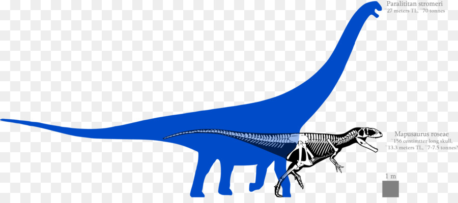 Mapusaurus，Argentinosaurus PNG