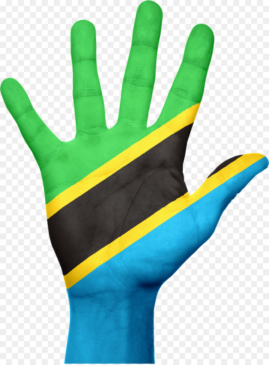 Tanzania，Bandera De Tanzania PNG