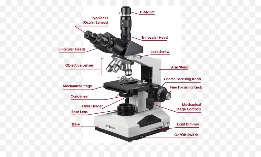 Microscopio，Laboratorio PNG