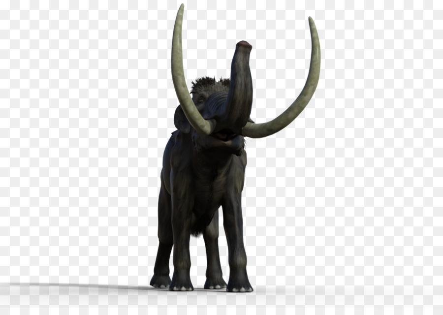 Elefante Indio，El Elefante Africano PNG