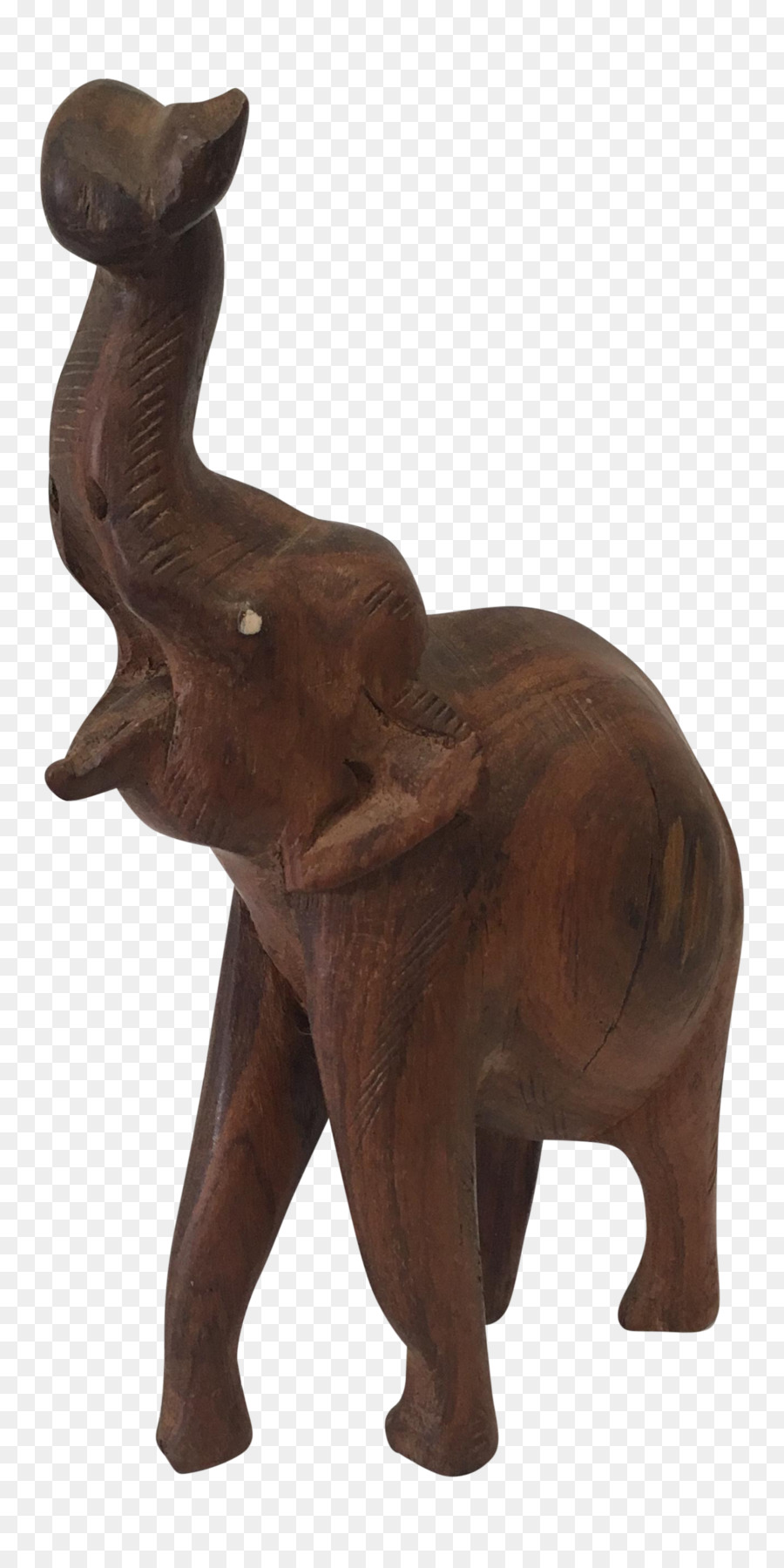 Elefante Indio，El Elefante Africano PNG