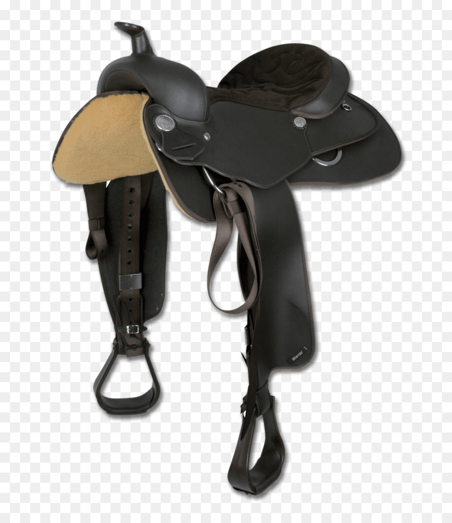 Silla De Montar，Caballo PNG