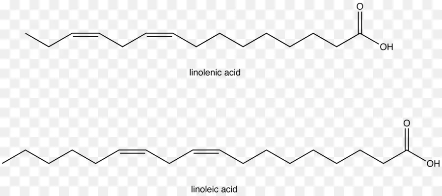 ácido Graso Esencial，ácido Graso PNG