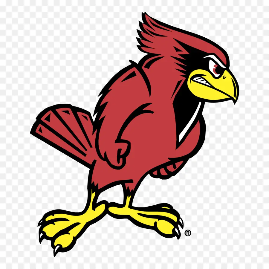 La Universidad Estatal De Illinois，Estado De Illinois Cardenales De Fútbol PNG