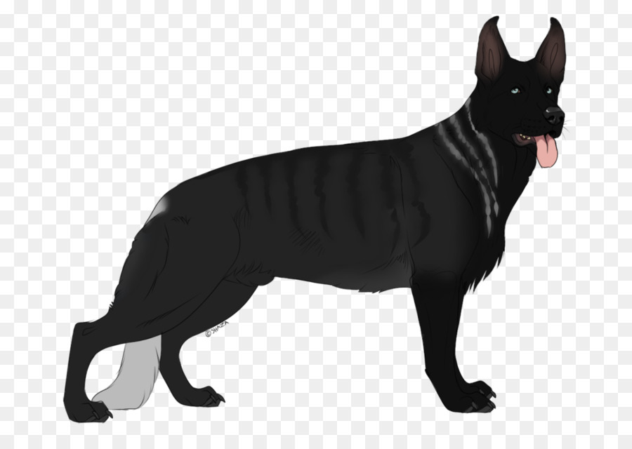 Pastor Alemán，Schipperke PNG