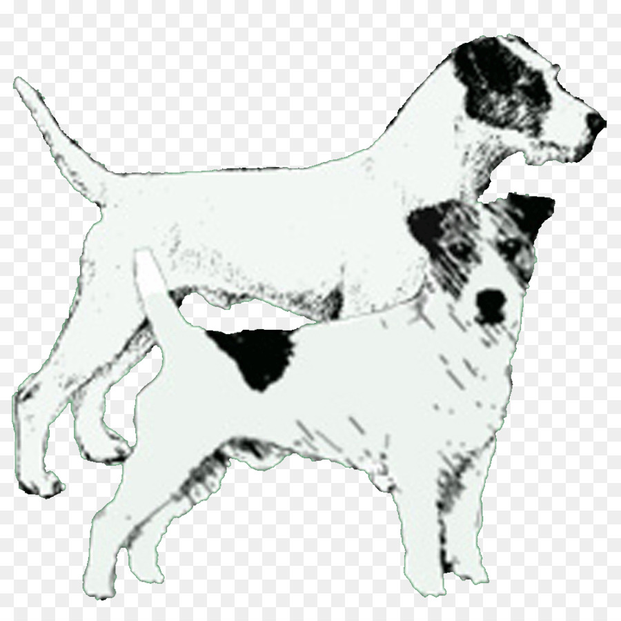 Raza De Perro，Jack Russell Terrier PNG