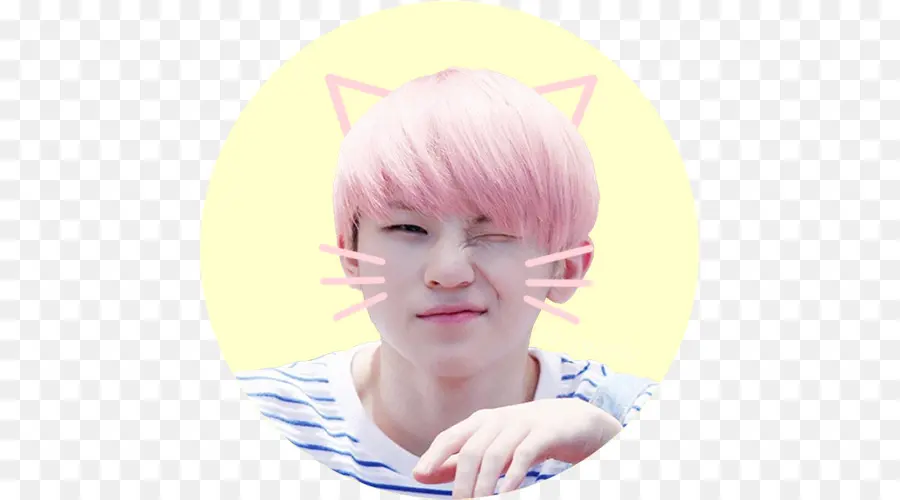 Woozi，Diecisiete PNG