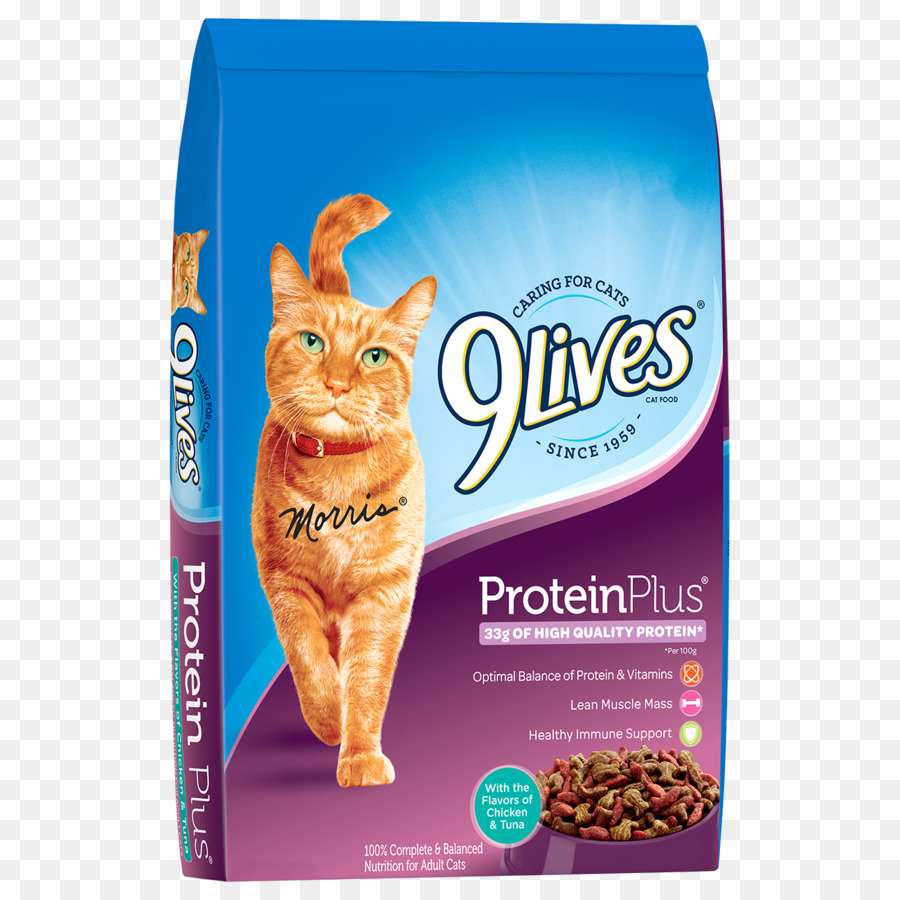 La Comida Para Gatos，Gato PNG