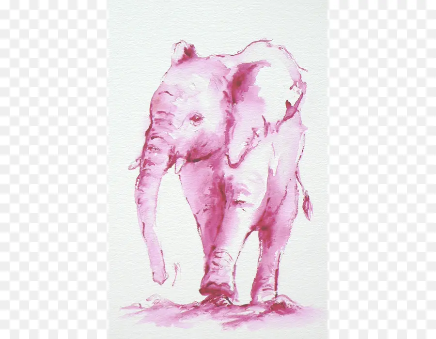 Elefante Indio，El Elefante Africano PNG