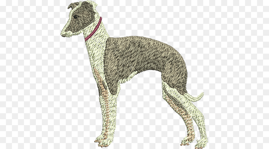 Galano Español，Galgo PNG