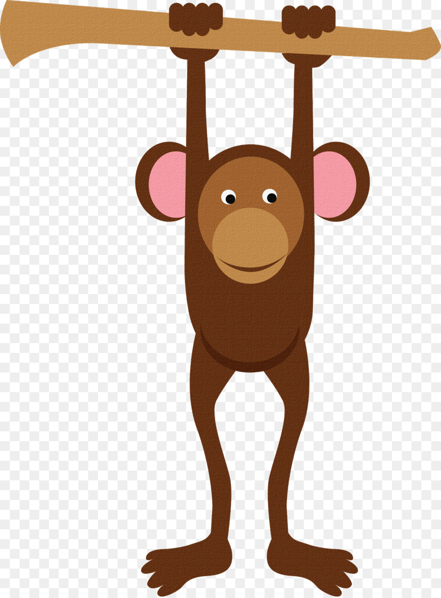 Monos Bebés，Mono PNG