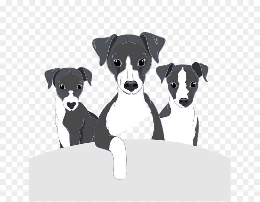 Raza De Perro，Lebrel Italiano PNG