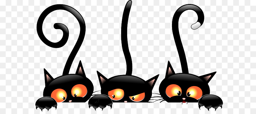 Gatos Negros，Gatos PNG