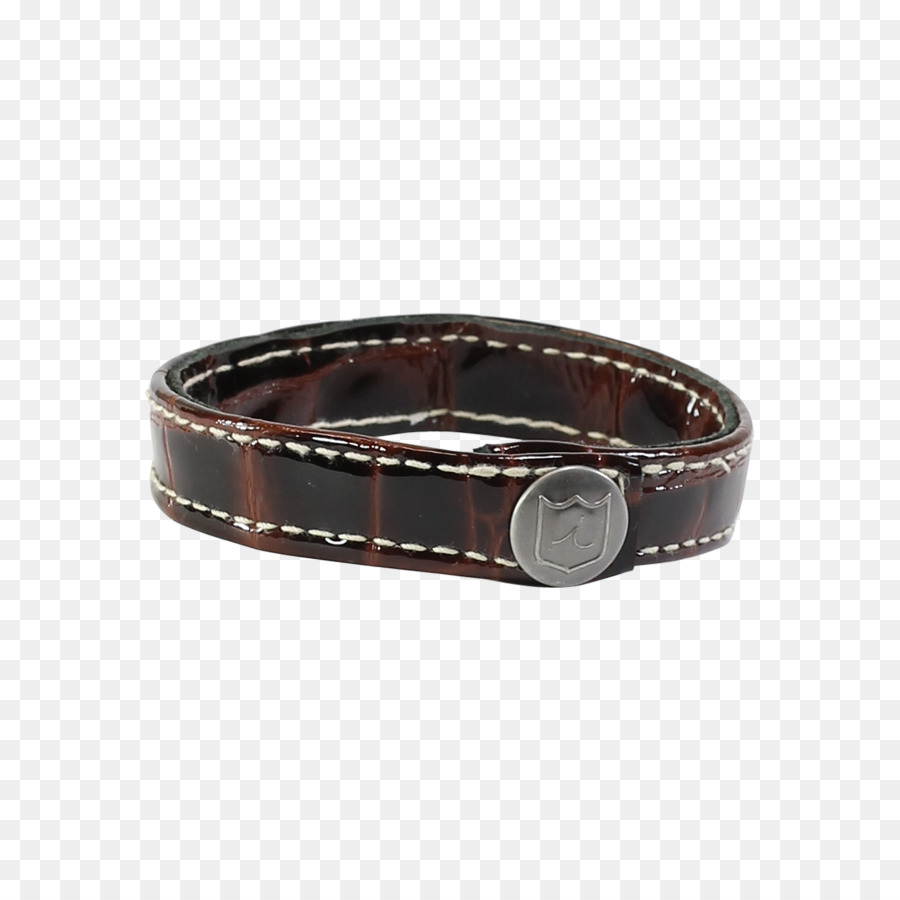 Hebillas De Cinturón，Collar De Perro PNG