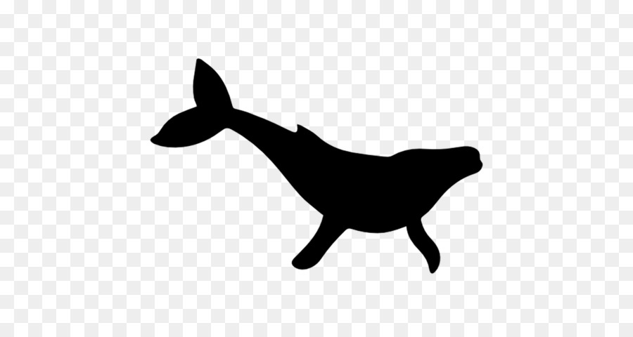 Cetacea，Perro PNG