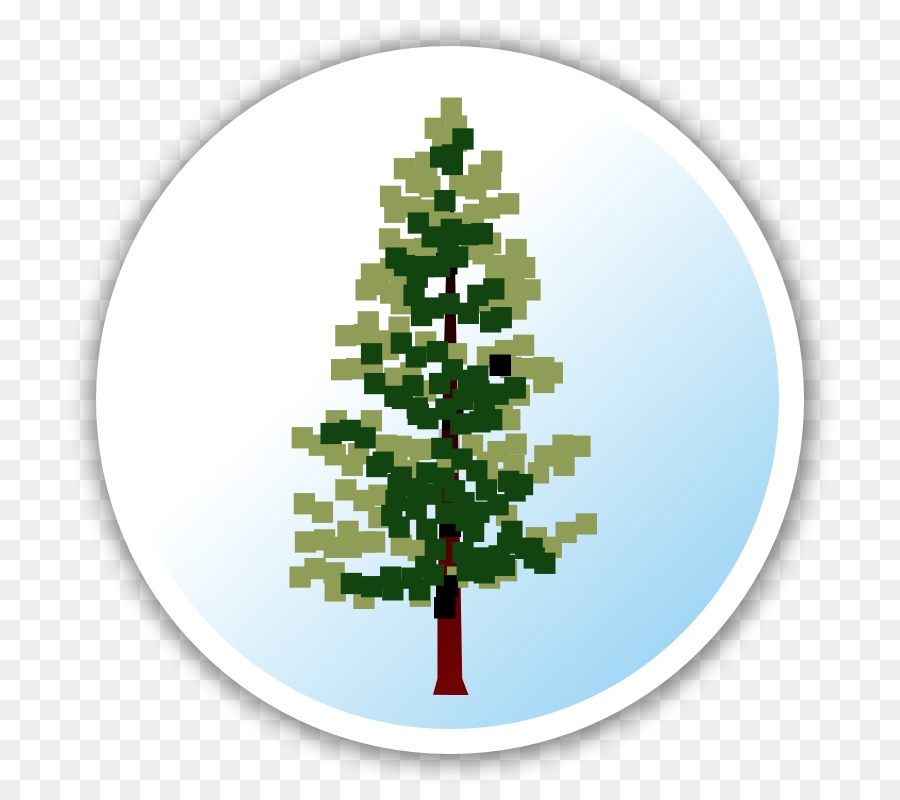 árbol De Navidad，Abeto PNG